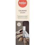 Bolsius Diffuser True Scents Oud Wood vonná stébla 60 ml – Hledejceny.cz