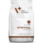 VetExpert Veterinary Diet 4T Intestinal Dog 12 kg – Zboží Mobilmania