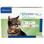 Effipro DUO Spot-on Cat 1-6 kg 50 / 60 mg 4 x 0,5 ml – Zboží Mobilmania