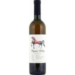 Papari Valley 3 Qvevri Terraces Rkatsiteli 2023 Bílé 12,5% 0,75 l (holá láhev) – Hledejceny.cz
