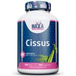 Haya Labs Cissus 500 mg 100 kapslí – Hledejceny.cz