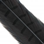 Hends Ocasní Pero z Bažanta Pheasant Tail Black – Hledejceny.cz