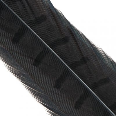 Hends Ocasní Pero z Bažanta Pheasant Tail Black – Hledejceny.cz
