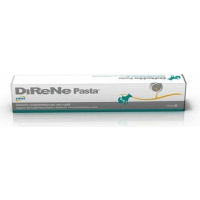 DRN Direne pasta pst 15 ml – Hledejceny.cz
