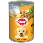 Pedigree Junior s kuřecím masem v želé 400 g – Hledejceny.cz