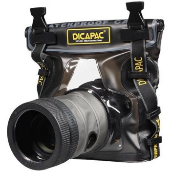 DiCaPac WP-S10