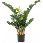FLW Umělá rostlina Zamioculcas (66cm) – Hledejceny.cz