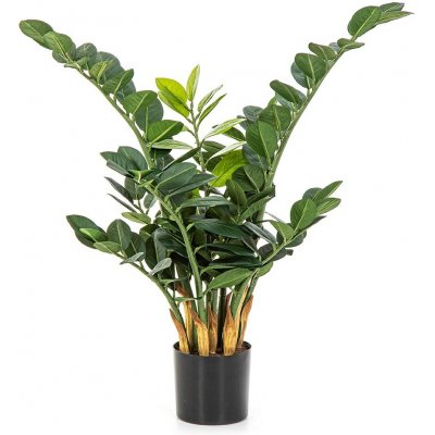 FLW Umělá rostlina Zamioculcas (66cm) – Hledejceny.cz