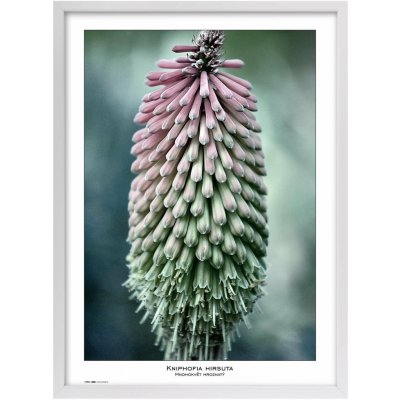 TRADAG Natura 50 x 70 bílý – Hledejceny.cz