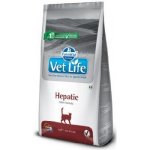 Vet Life Natural Cat Hepatic 10 kg – Zbozi.Blesk.cz