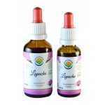 Salvia Paradise Lapacho AF tinktura 50 ml – Hledejceny.cz