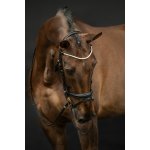 HKM Kožená uzdečka Kopenhagen černá – Zboží Dáma