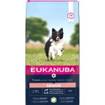 Eukanuba Senior Small & Medium Breed jehněčí s rýží 2 x 12 kg – Zboží Mobilmania