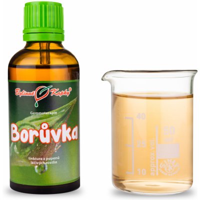 Bylinné kapky Gemmoterapie Borůvka pupeny tinktura z pupenů 50 ml – Hledejceny.cz