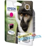 Epson C13T0893 - originální – Hledejceny.cz