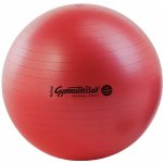 Ledragomma Gymnastic Ball Maxafe 65 cm – Zboží Mobilmania