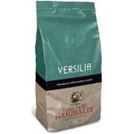 Garibaldi Versilia zrnková 1 kg – Hledejceny.cz