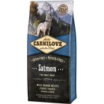 Carnilove Salmon for Adult Dogs 2 x 12 kg – Hledejceny.cz