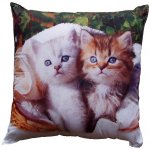Dadka polštář kotě 40x40 – Sleviste.cz