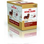 Royal Canin Adult Dashund 12 x 85 g – Zboží Mobilmania