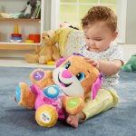 Fisher-Price FPP64 Mluvící pejskova sestřička – Zboží Mobilmania