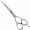 Kadeřnické nůžky Kiepe Professional Luxury Premium 2452 6´ Silver profi nůžky na vlasy 15,7 cm stříbrné