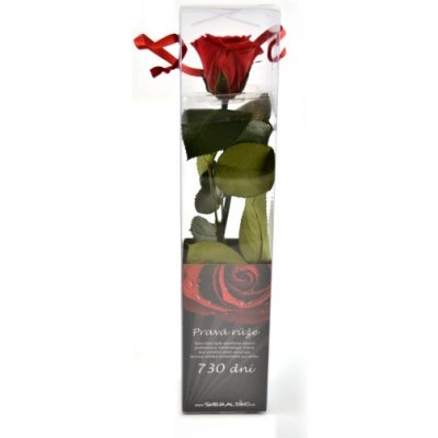 Dárková stabilizovaná růže MINI - světle růžová – Zboží Dáma