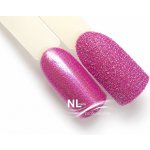 NL nails professional GLITTER POWDER 3g – Hledejceny.cz
