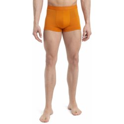 Icebreaker Mens Anatomica Cool-Lite Trunks, Earth