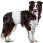 Flamingo Pleny Dipy pro psy M 46 x 60 cm 12 ks – Zboží Mobilmania