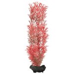 Tetra Myriophyllum heterophyllum Red Foxtail 23 cm – Zboží Mobilmania