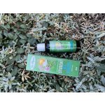 Dr. Popov STUDENT No stress bylinné kapky 50 ml – Hledejceny.cz