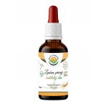Salvia Paradise Ženšen pravý 6letý AF tinktura BIO 50 ml – Hledejceny.cz