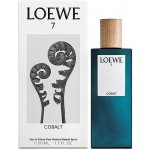 Loewe 7 Cobalt parfémovaná voda pánská 100 ml – Hledejceny.cz