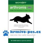 Arthronis Fáze 2 60 tbl – Sleviste.cz