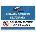 Střeženo kamerami se záznamem vstup zakázán, samolepka 105 x 74 x 0,1 mm – Zbozi.Blesk.cz