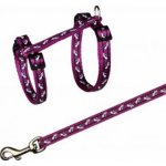 Trixie Postroj s vodítkem pro kočku 27 - 45 cm 10 mm 1,20 m – Zboží Dáma