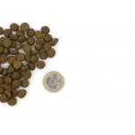 Marp Holistic Indoor Cat pro dospělé a starší kočky 2 kg – Hledejceny.cz