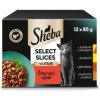 Kapsička pro kočky ! ! Sheba Selection in Sauce kuře, hovězí, jehně, kachna, krůta 12 x 85 g