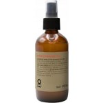 Oway ColorUp Protection Veil ochranné mléko ve spreji pro barvené a melírované vlasy 160 ml – Hledejceny.cz