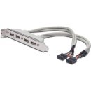 Digitus záslepka slotu s 4 USB porty, kabel 2x 10 Pin 0,25m AK-300304-002-E