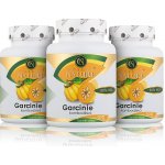 Golden Nature 2+1 Garcinie kambodžská 50% HCA 300 kapslí – Hledejceny.cz
