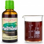 Bylinné kapky Ploštičník přírodní estriol tinktura 50 ml – Hledejceny.cz