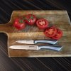 Sada nožů Sada kuchyňských nožů Alpina 2 ks