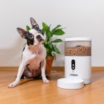 TESLA Smart Pet Feeder Camera TSL-PC-BL4C – Zboží Dáma