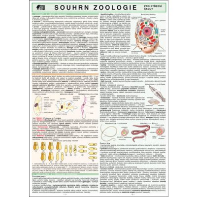 SOUHRN ZOOLOGIE PRO SŠ – Hledejceny.cz
