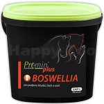 Premin Plus Boswellia 5 kg – Zboží Dáma