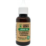 Dokonalá Láska 58 Při agresivitě a nadměrné dominanci pro samce podpůrný olej 30 ml – Hledejceny.cz