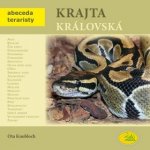 Krajta královská - Abeceda teraristy - Knobloch Ota – Hledejceny.cz