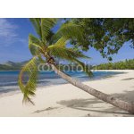 WEBLUX 65416367 Fototapeta vliesová Tropical Paradise Tropický ráj rozměry 270 x 200 cm – Hledejceny.cz